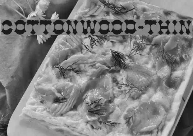 Cottonwood-Thin Font examples