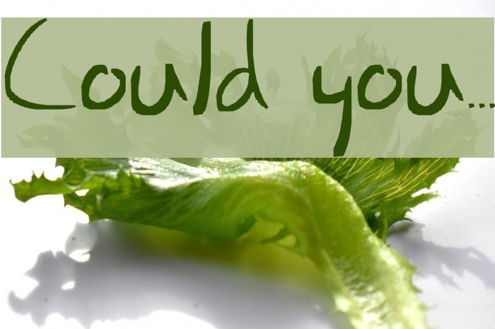 Could you... Fonte examples