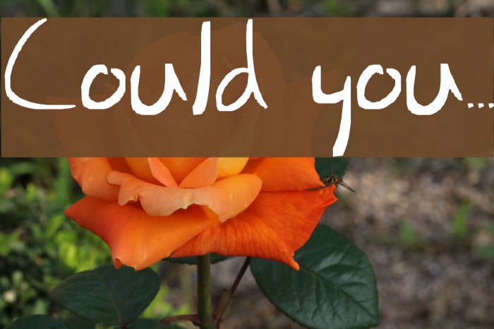 Could you... Fonte examples