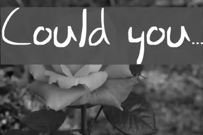 Could you... Font examples