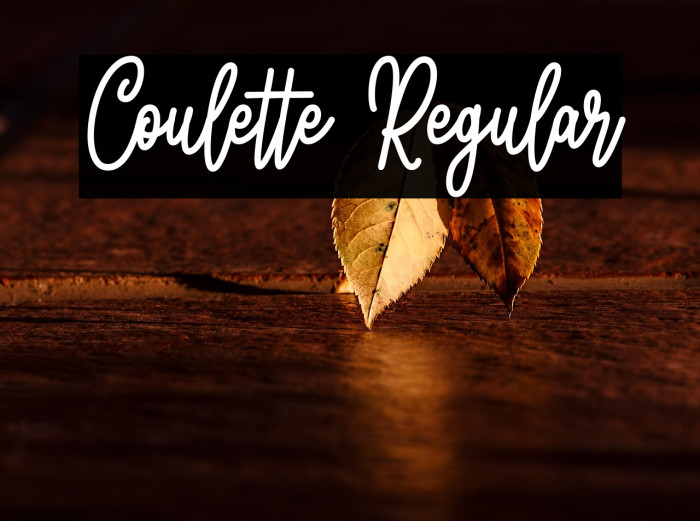 Coulette Regular Example 2