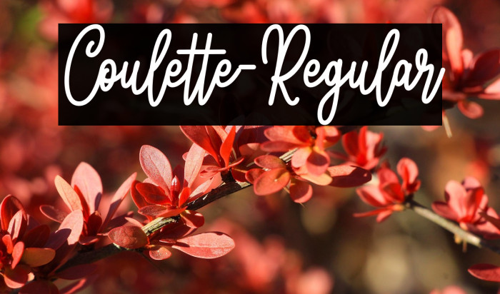 Coulette-Regular Example 2