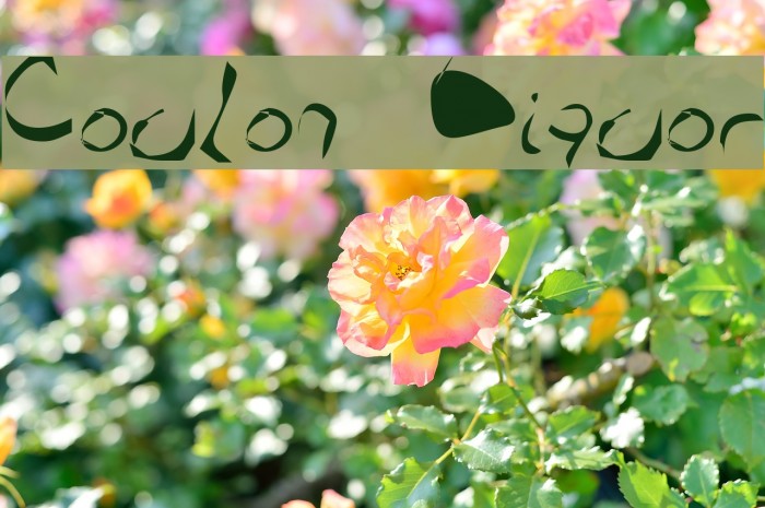 Coulon Liquor Example 3