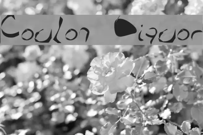 Coulon Liquor Font examples