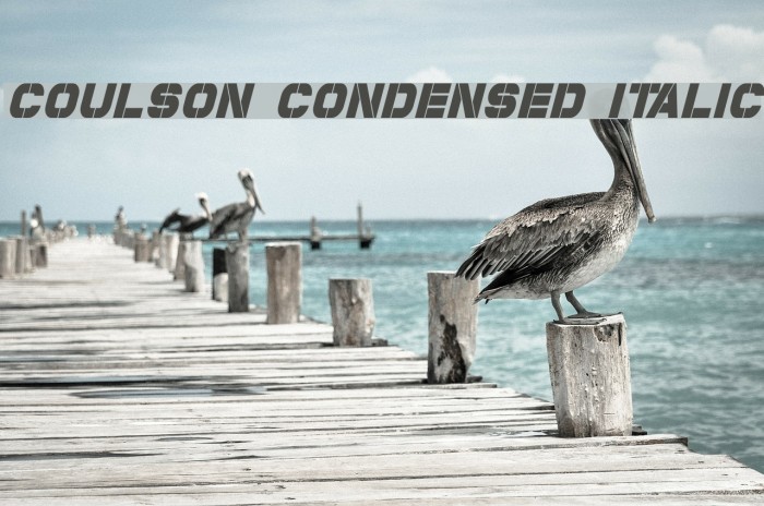 Coulson Condensed Italic Font examples