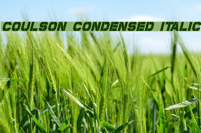 Coulson Condensed Italic Font examples