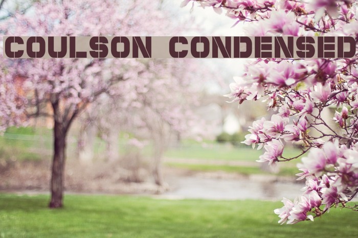 Coulson Condensed Font examples