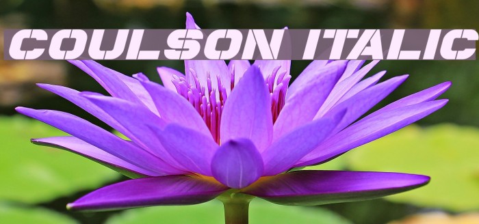 Coulson Italic Example 1