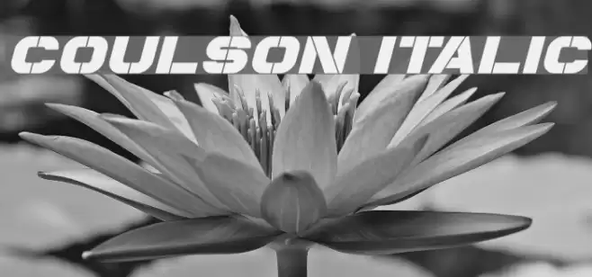 Coulson Italic Font examples