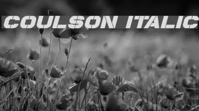 Coulson Italic Font examples