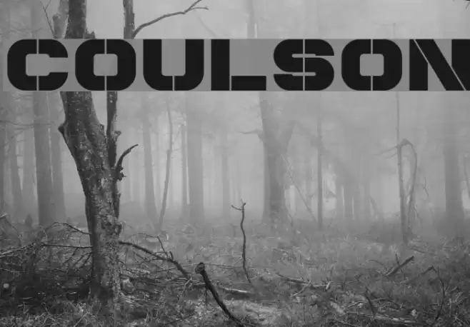 Coulson Font examples