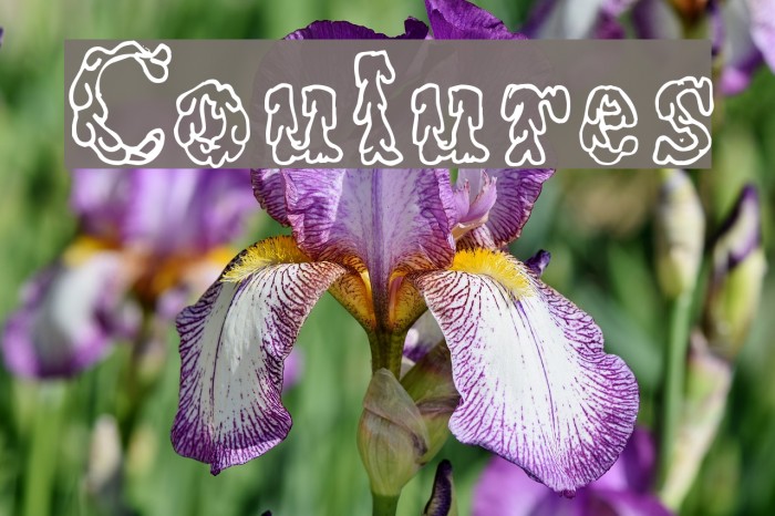 Coulures Font examples