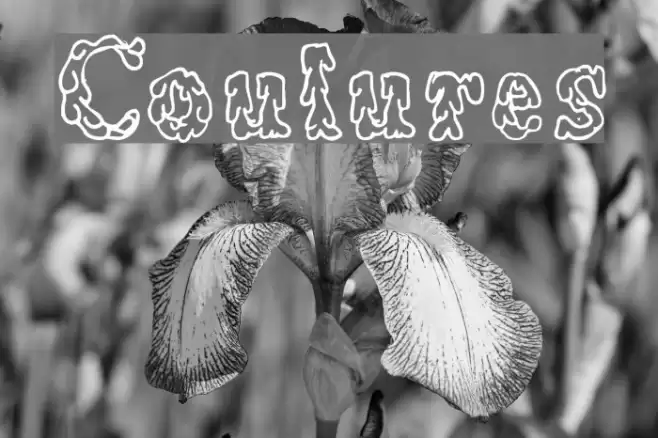 Coulures Polices examples