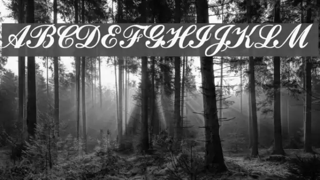 CounselorScript Medium Font examples