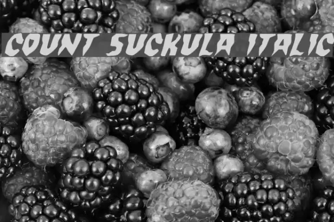 Count Suckula Italic Font examples