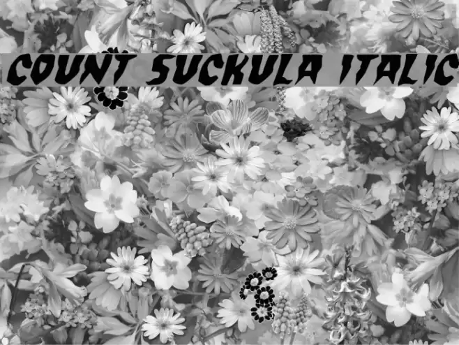 Count Suckula Italic Font examples