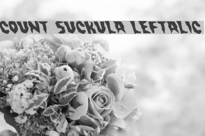 Count Suckula Leftalic Font examples