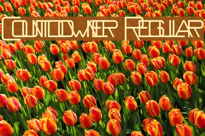Countdowner Regular Font examples