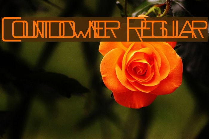Countdowner Regular Font examples