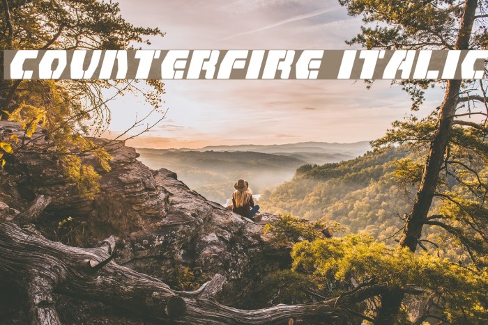 Counterfire Italic Font examples