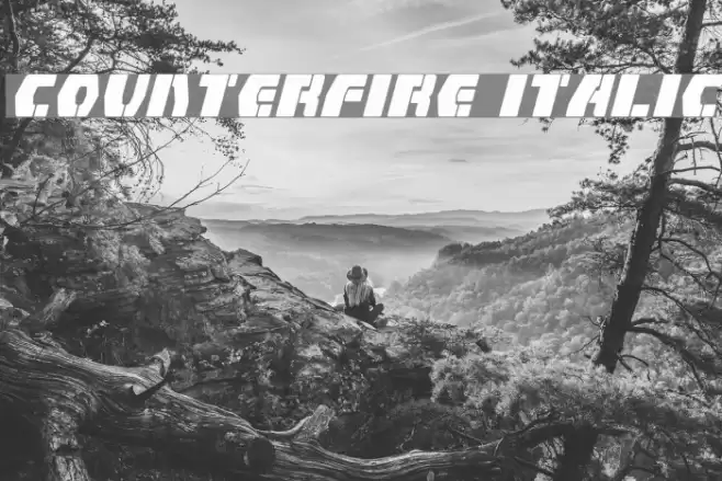Counterfire Italic Font examples