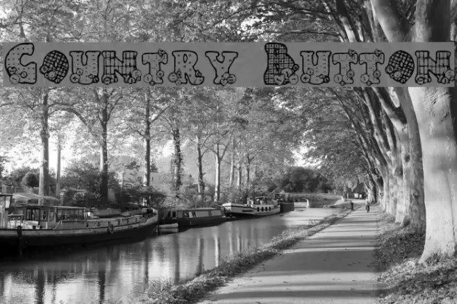 Country Button 字体 examples