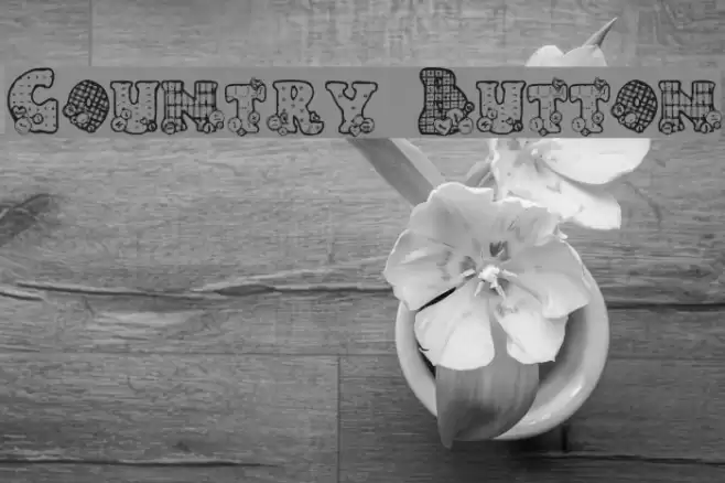 Country Button 字体 examples