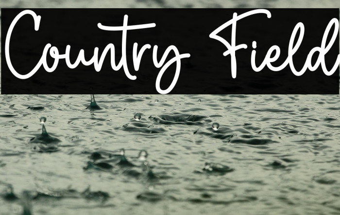 Country Field Example 1