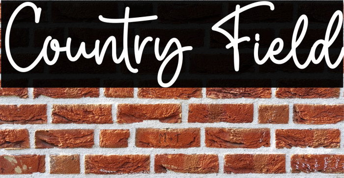 Country Field Example 3