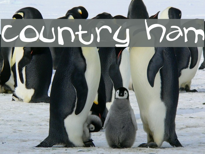 Country Ham Font examples