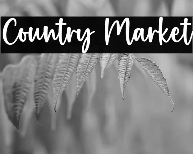 Country Market Schriftart examples