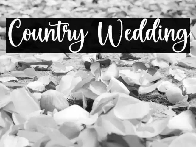 Country Wedding Font examples