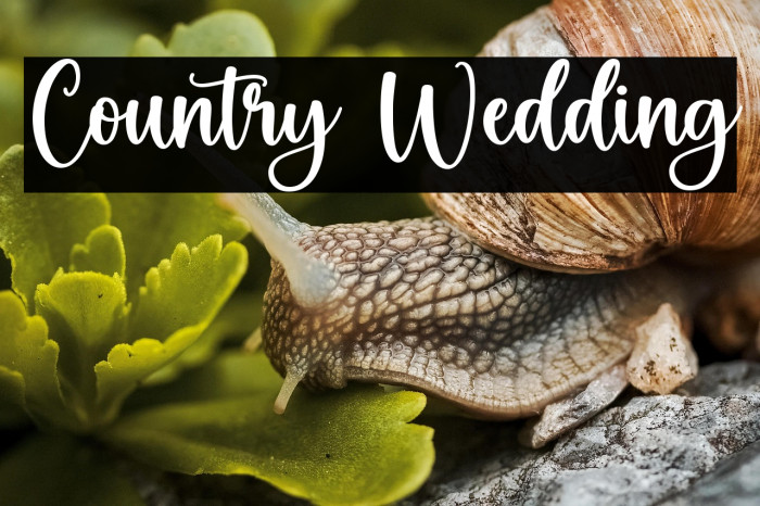 Country Wedding फ़ॉन्ट examples