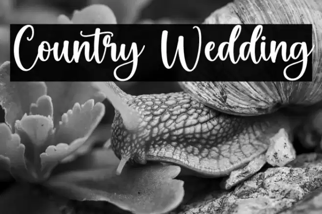 Country Wedding Font examples