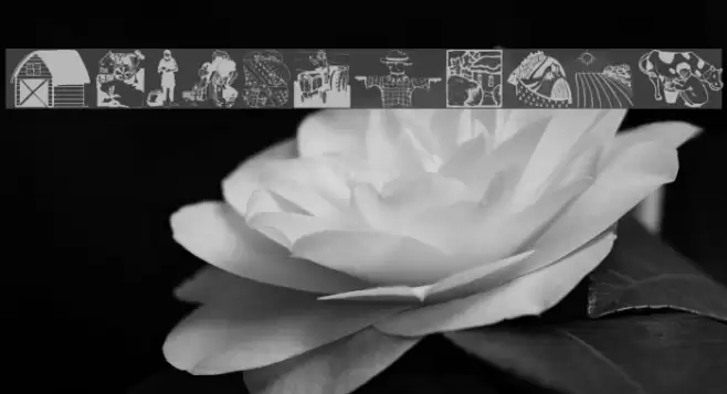 CountryLife Font examples