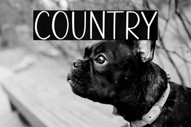 Country Example 1