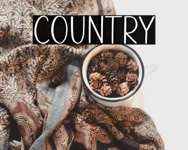 Country Example 2