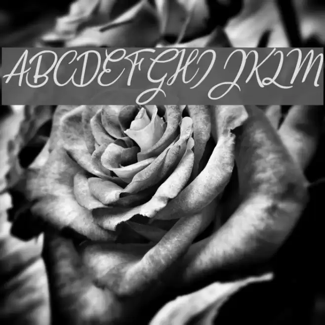 Countryside two Font examples