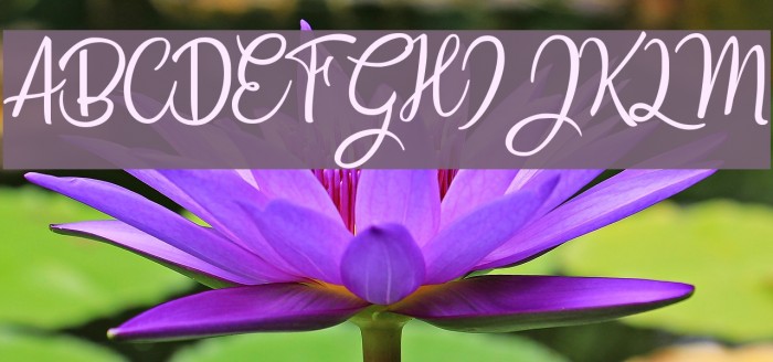 Countryside Font examples
