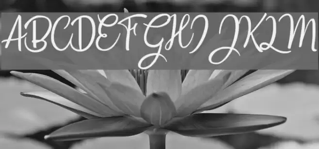 Countryside Font examples