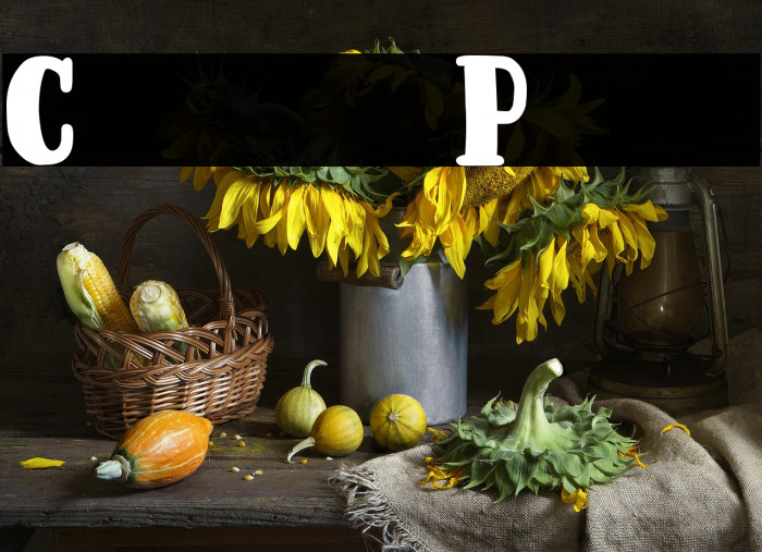 Coup de Poker Example 1