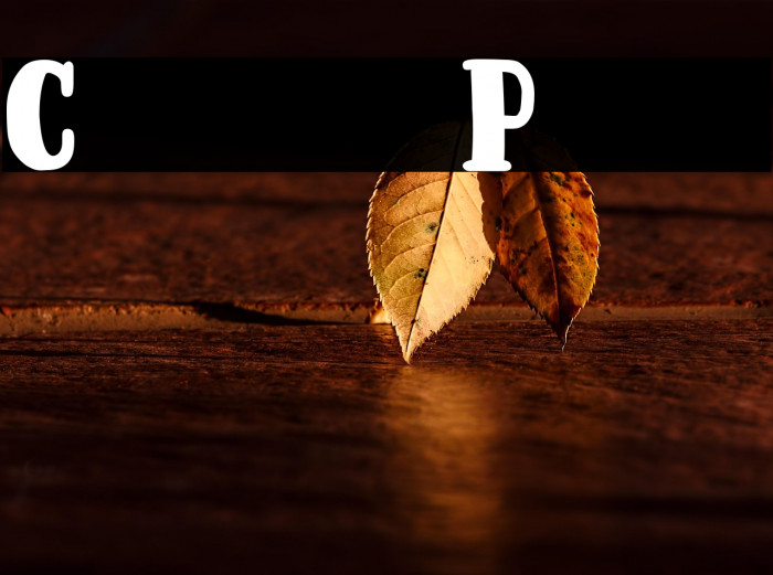 Coup de Poker Example 3