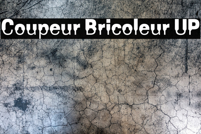 Coupeur Bricoleur UP Example 2