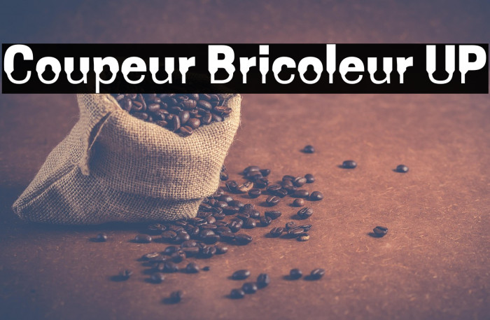 Coupeur Bricoleur UP Example 3