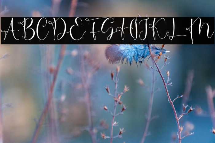 Couple Goals Example 2