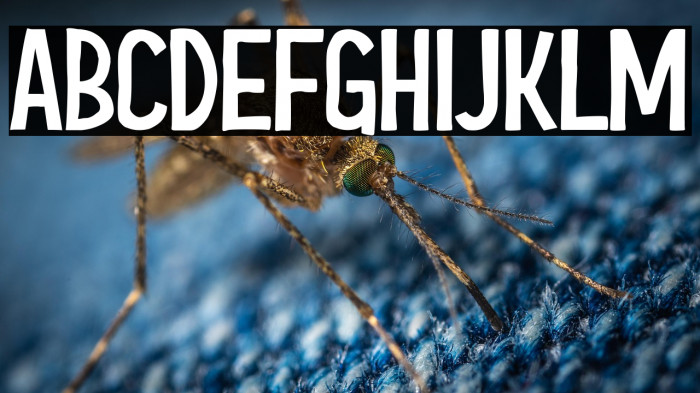 Courage-Kid Example 3