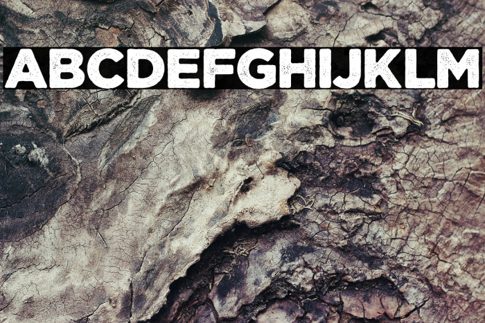 CourageRoad Example 1