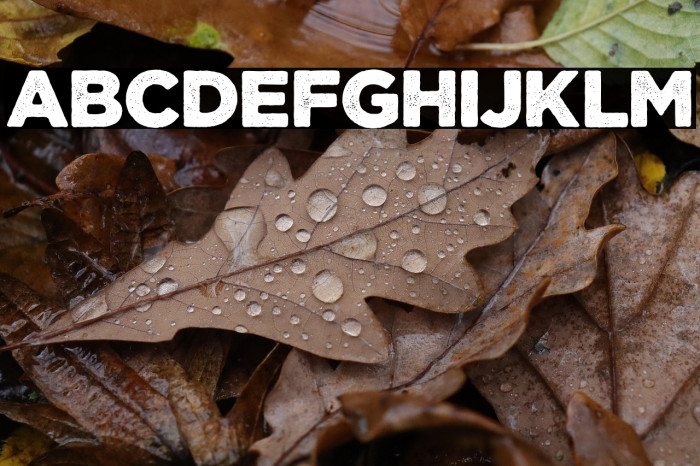 CourageRoad Example 3