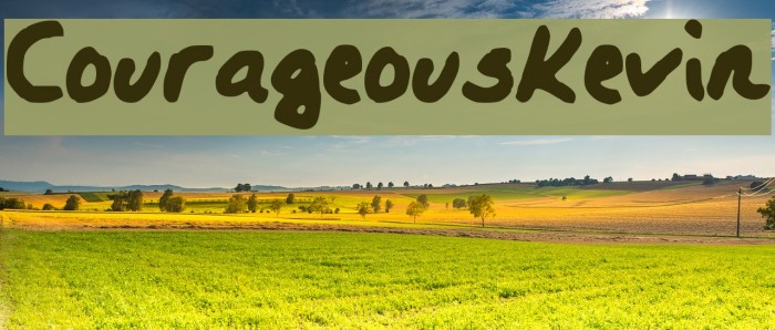 CourageousKevin Font examples