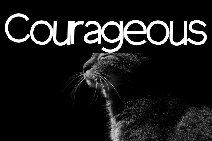 Courageous Example 1